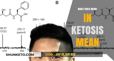 Understanding Ketosis: What It Means and How It Works for You