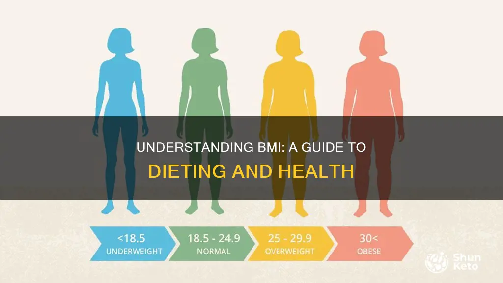 what does bmi mean for dieting