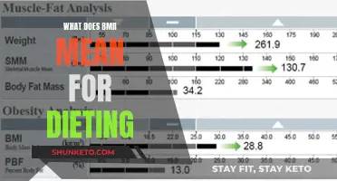 Understanding Your Body's Basal Metabolic Rate: The Key to Healthy Weight Loss