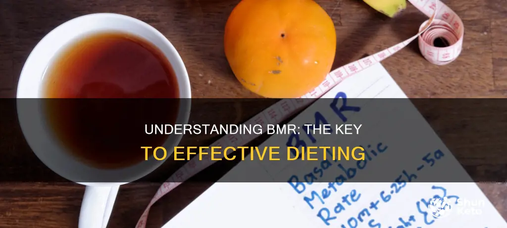 what does bmr mean for dieting