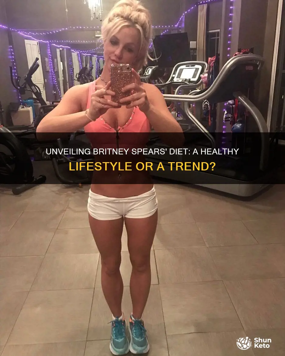 what does britney spears diet look like