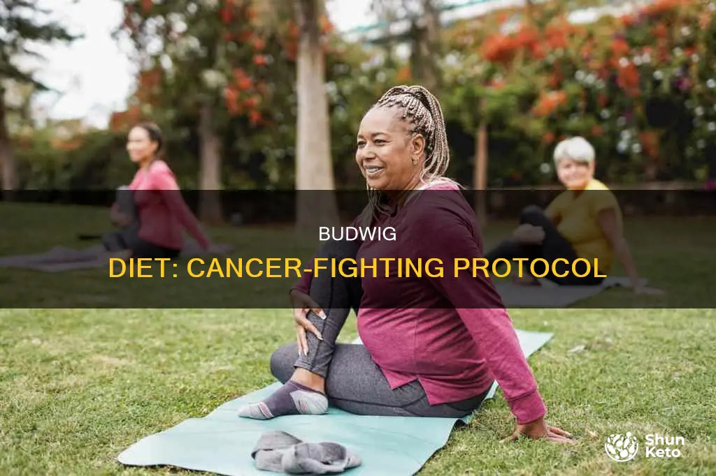 what does budwig diet help
