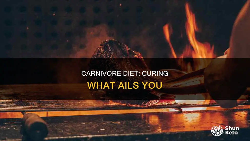 what does carnivore diet cure