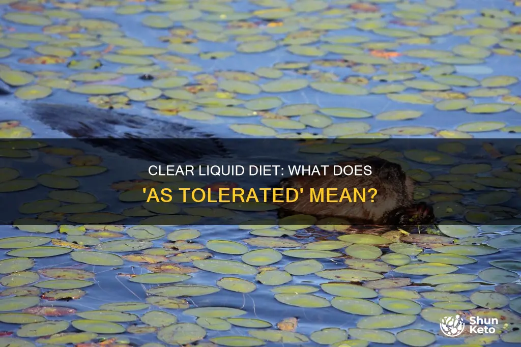 what does clear liquids advance diet as tolerated mean