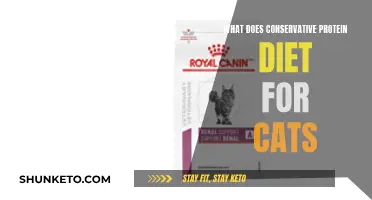 Protein-Restricted Diet: A Conservative Approach for Cats' Health