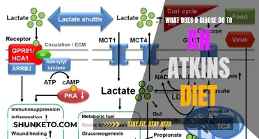 D-Ribose and Atkins Diet: Friend or Foe?