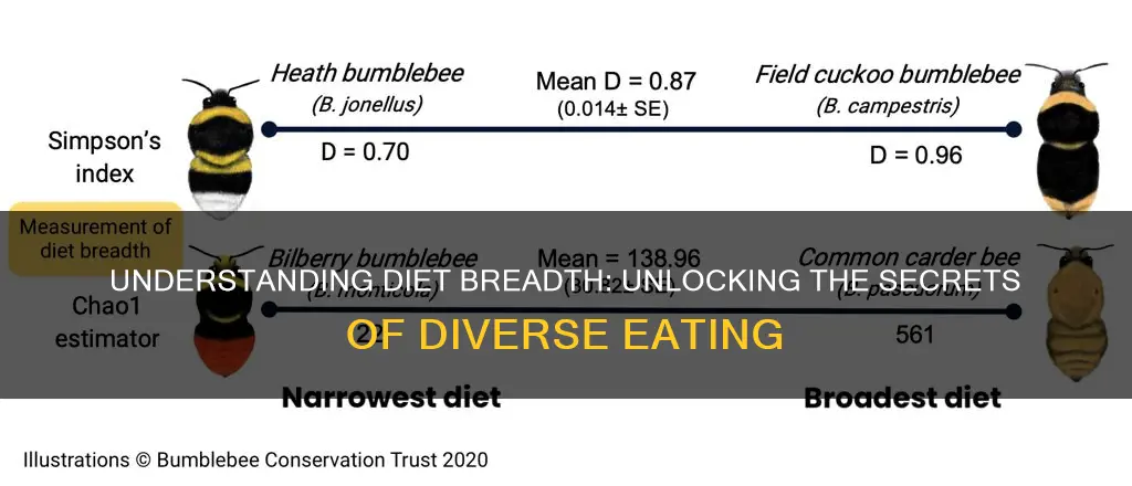 what does diet breadth mean