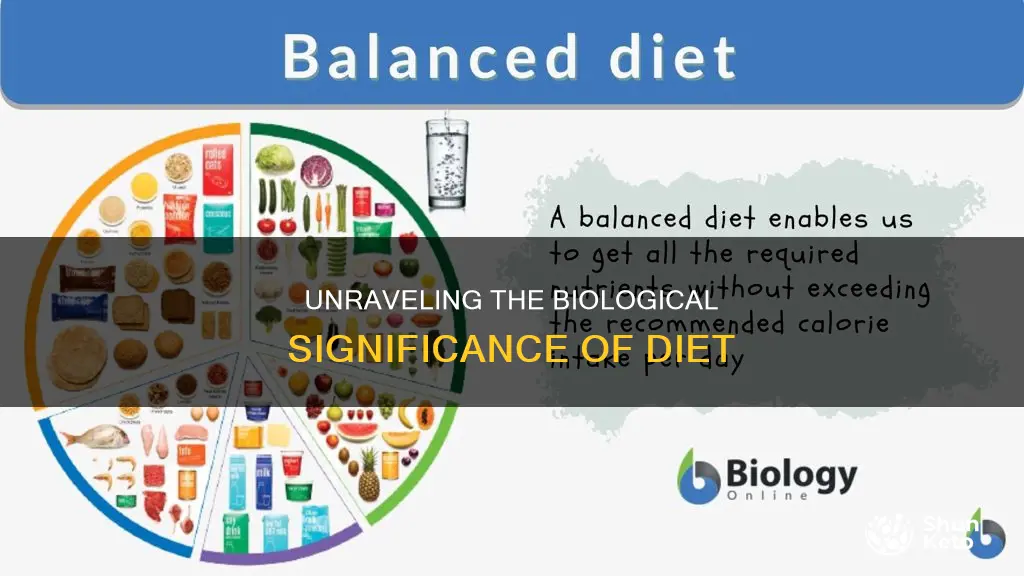 what does diet mean in biology