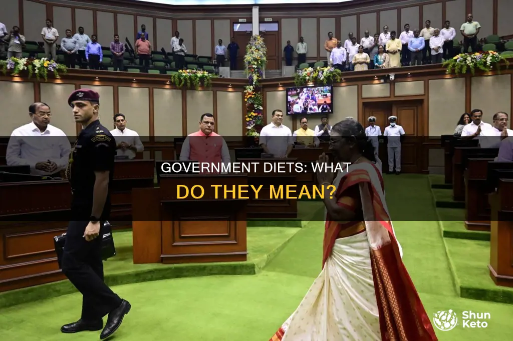 what does diet mean in government