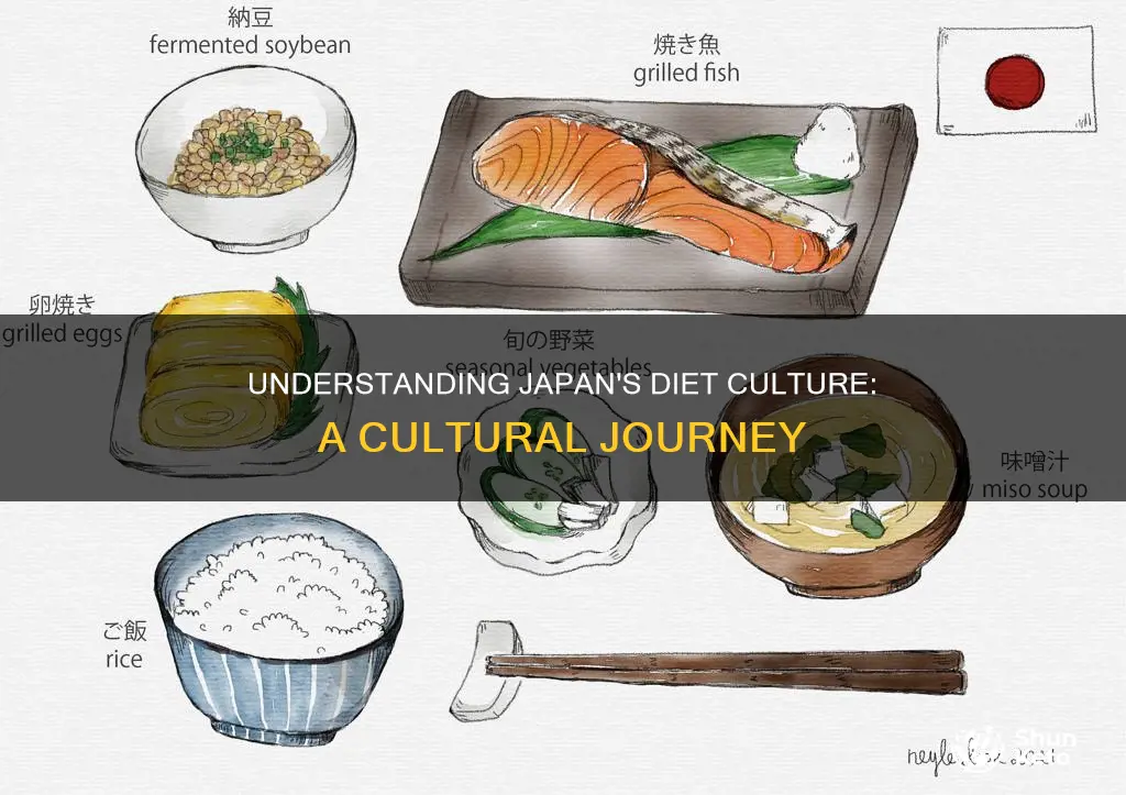 what does diet mean in japan