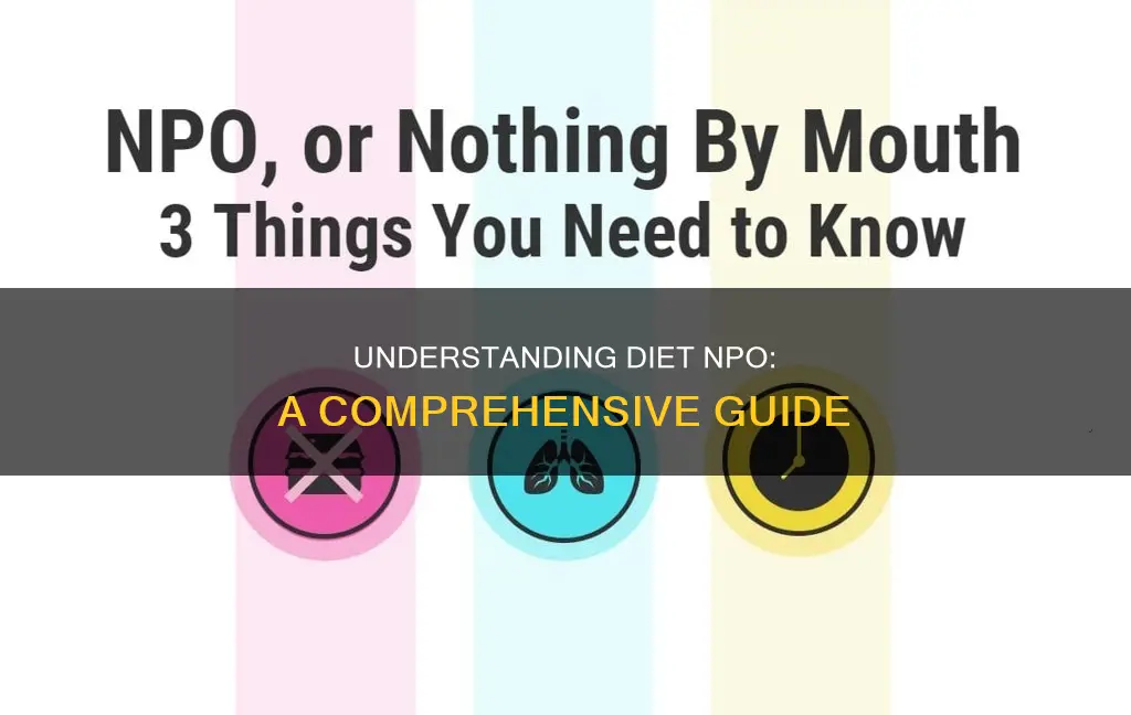 what does diet npo mean