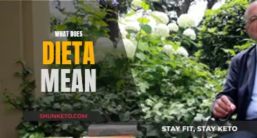 Dieta: Understanding the True Meaning of This Word