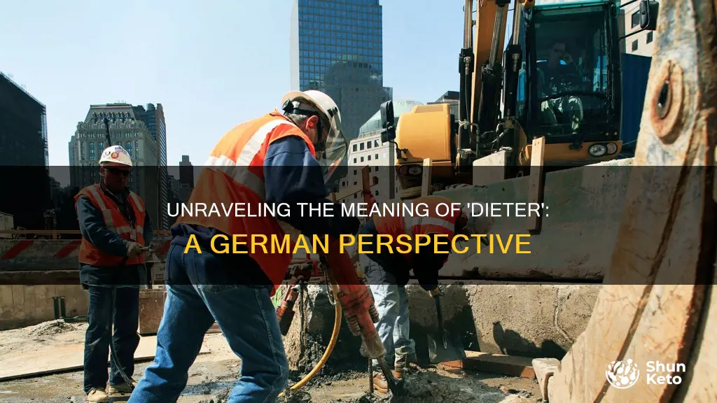 what does dieter mean german