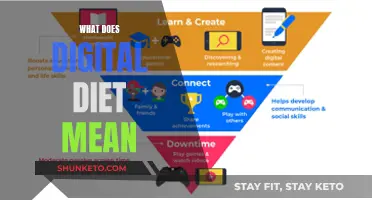 Unraveling the Concept of Digital Diet: A Guide