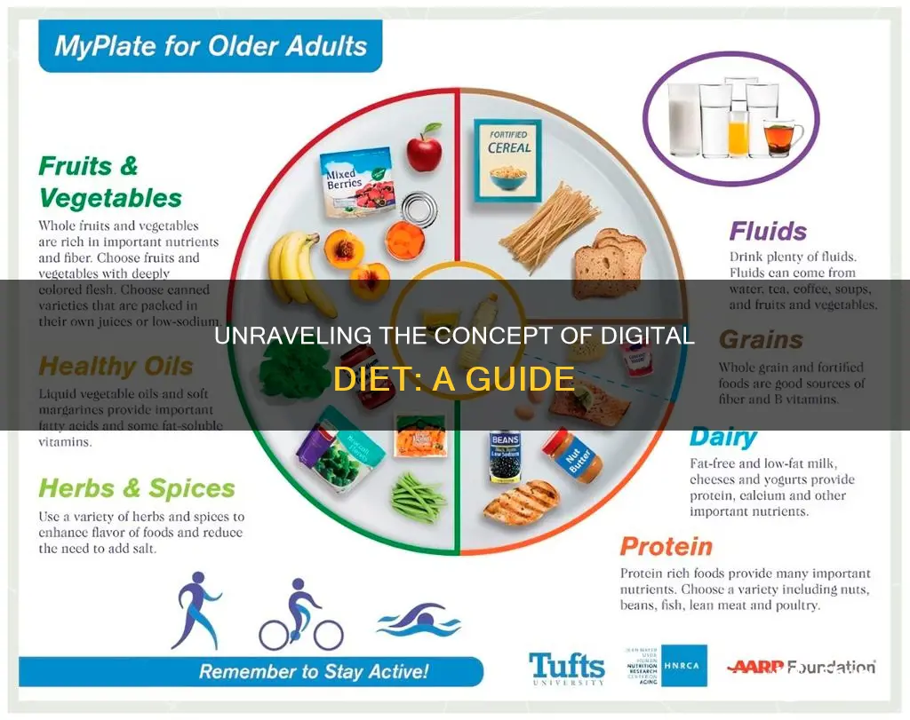 what does digital diet mean