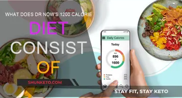 Dr. Now's 1200-Calorie Diet: What's on the Menu?