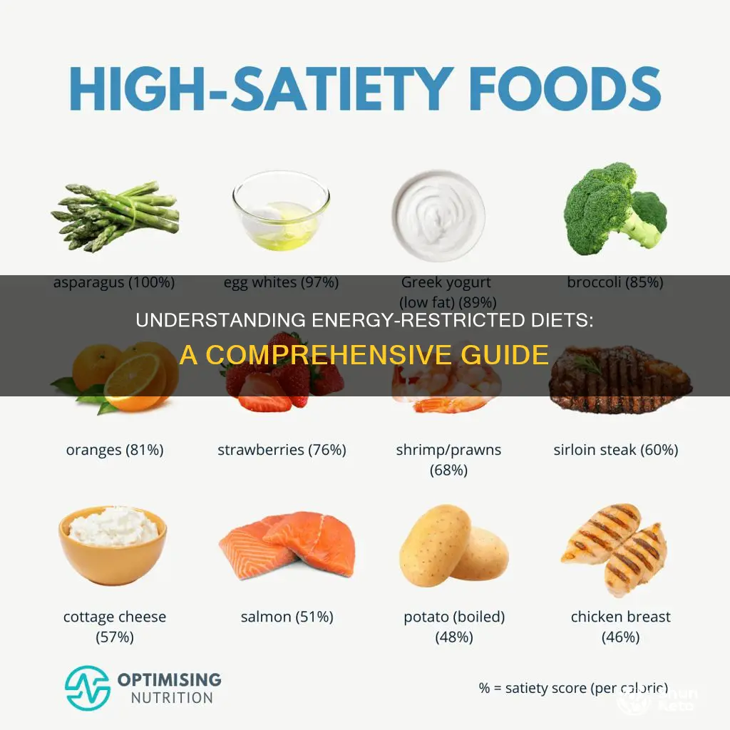 what does energy restricted diet mean