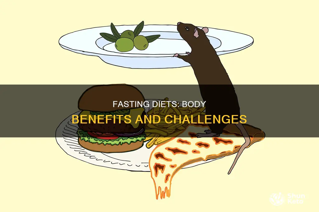 what does fasting diets do to the body