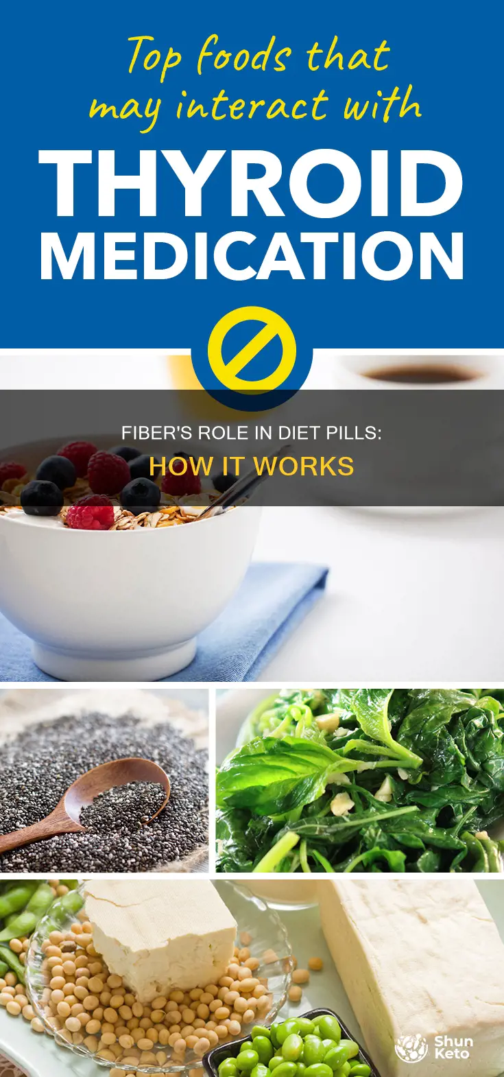 what does fiber do in diet pills