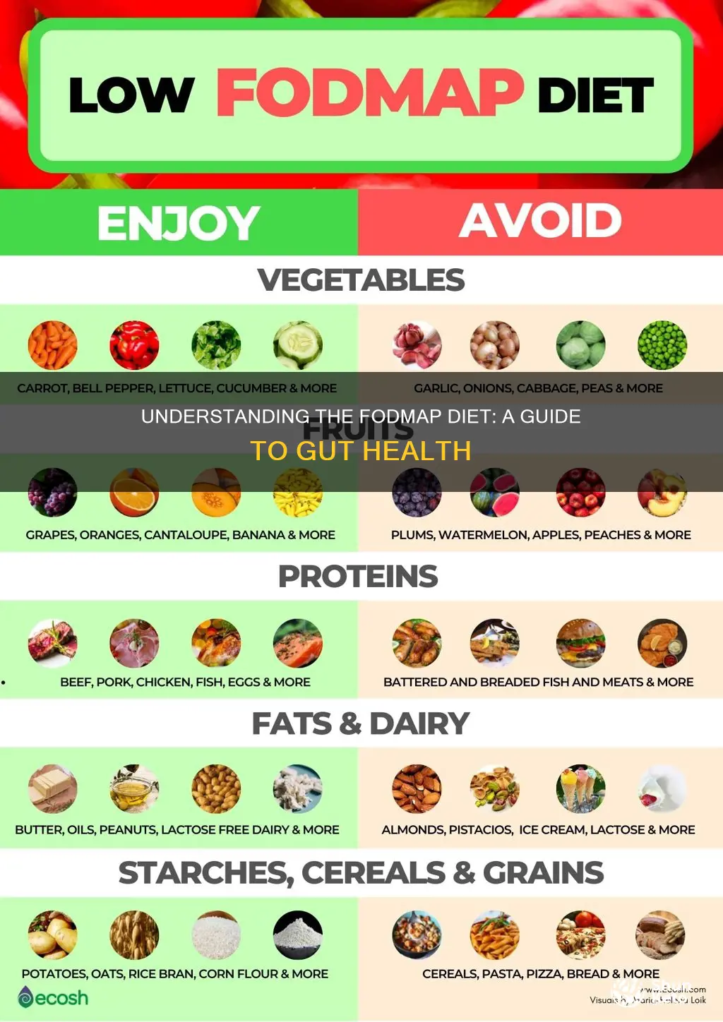 what does fodmap diet mean