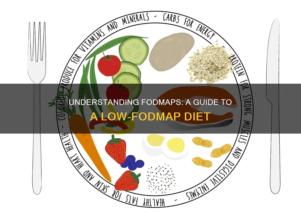 what does fodmap stand for diet plan