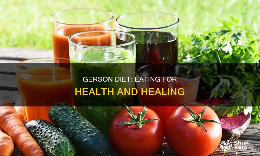 what does gerson diet consist of