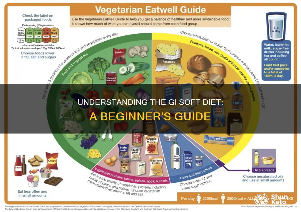 what does gi soft diet mean