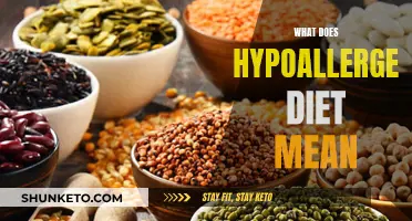 Hypoallergenic Diet: Understanding Food Sensitivities and Allergies