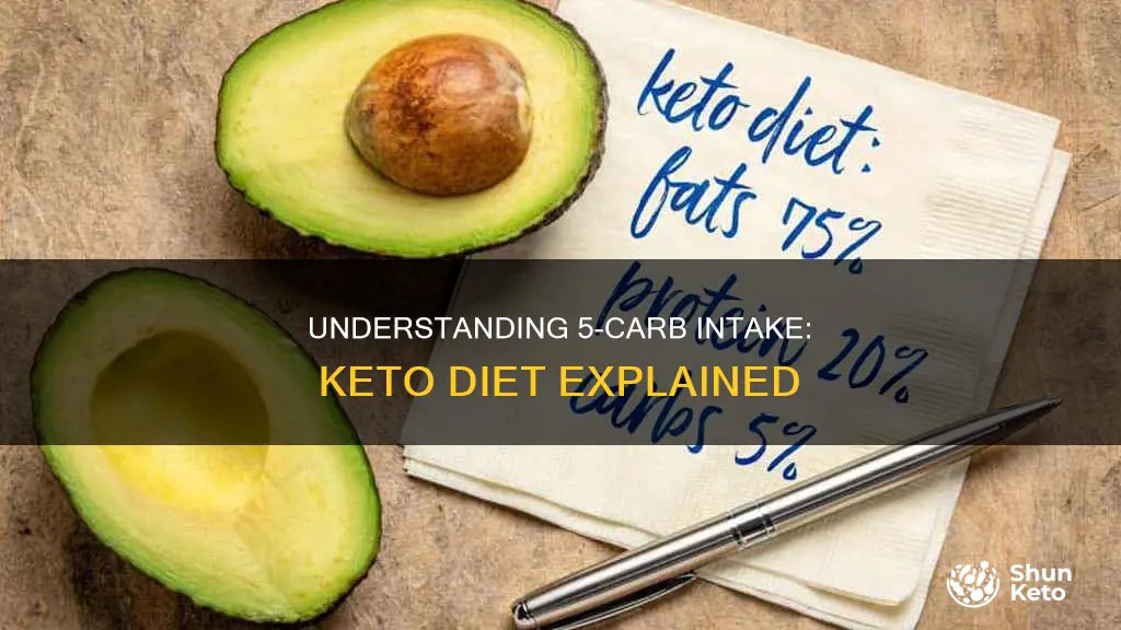 what does it mean 5 carbs on keto