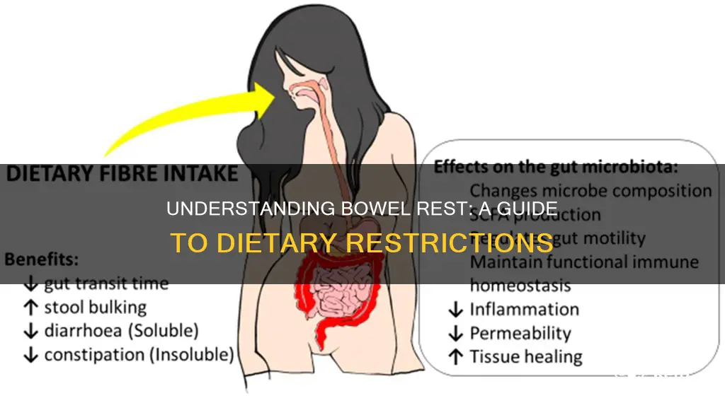 what does it mean to be on bowel rest diet