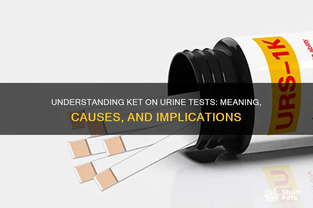what does ket mean on a urine test