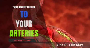 Keto Diet and Arterial Health: Benefits or Risks Explained