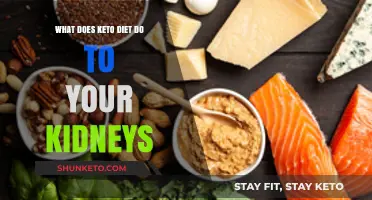 Keto Diet and Kidney Health: Benefits, Risks, and Considerations