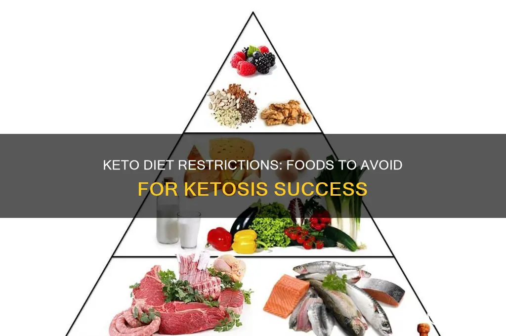 what does keto diet exclude