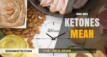 Understanding Ketones: Definition, Role, and Impact on Health and Metabolism