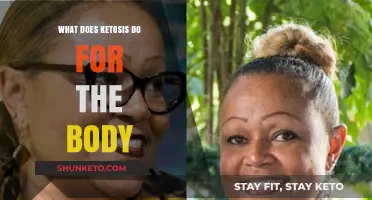 Ketosis Explained: How It Transforms Your Body's Energy and Health