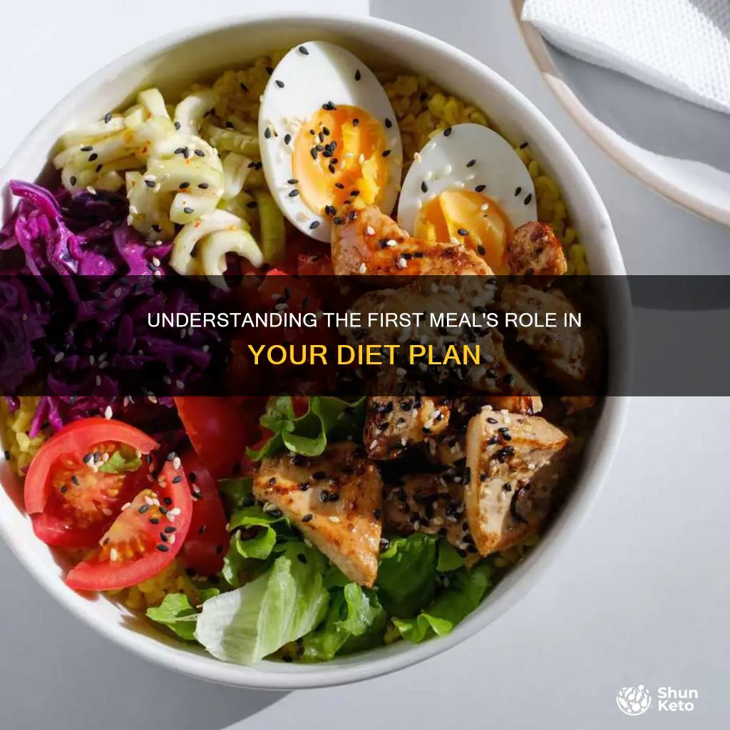 what does meal 1 means in diet plan