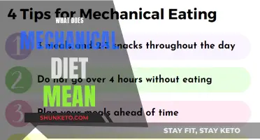 Understanding the Concept of Mechanical Diet: Unlocking Healthy Eating Habits