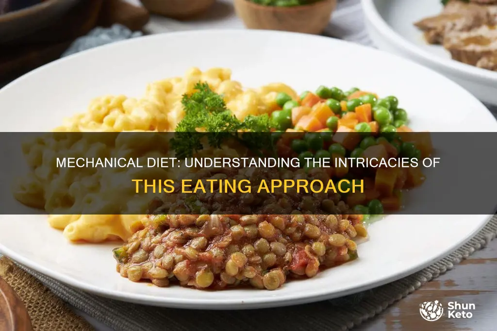 what does mechanical diet mean