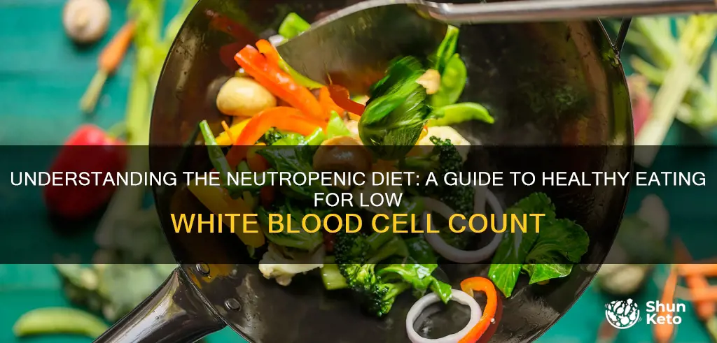 what does neutropenic diet mean