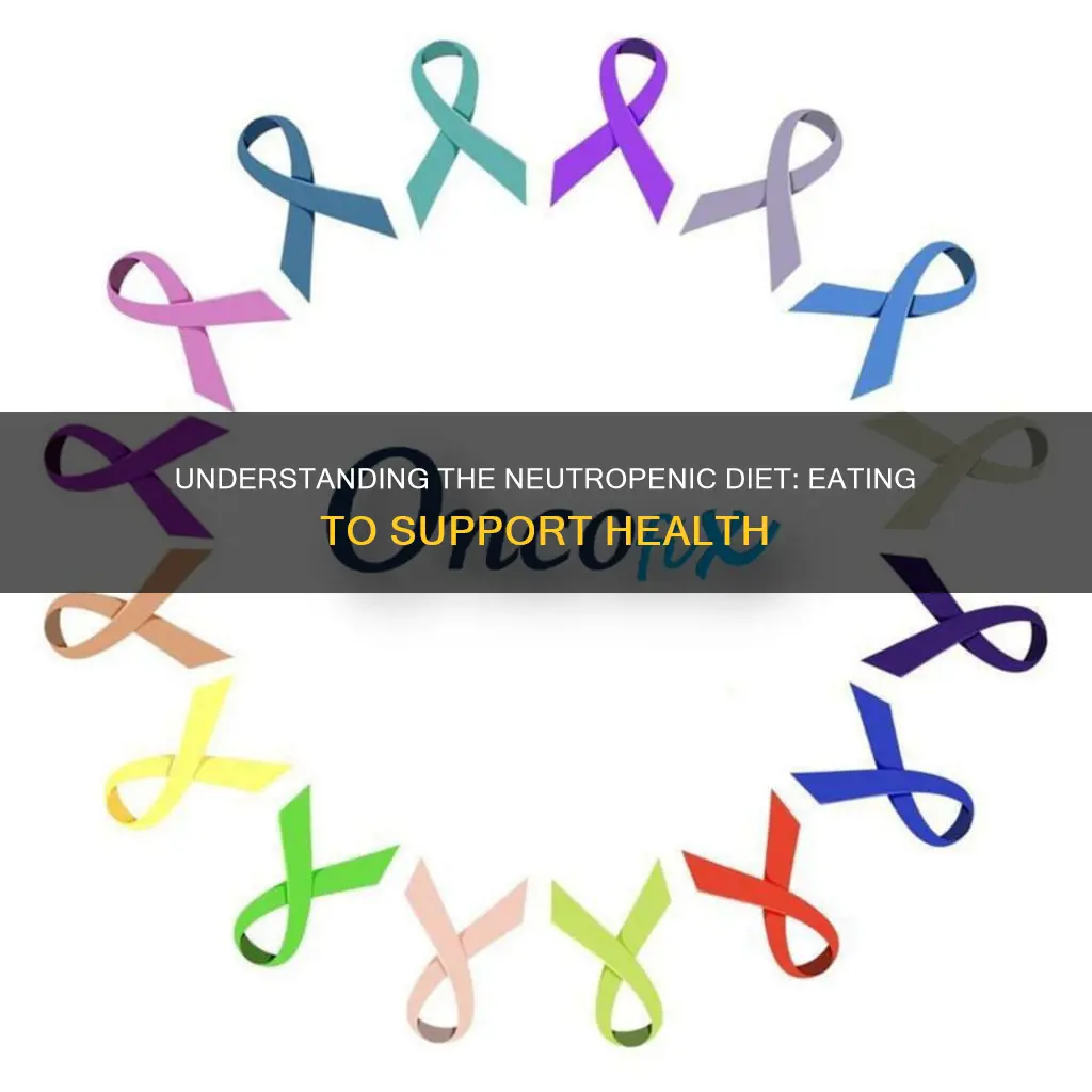 what does neutropenic diet mean