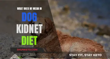 Understanding NF in Dog Kidney Diets: What Does It Mean?