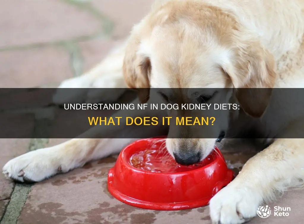 what does nf mean in dog kidnet diet