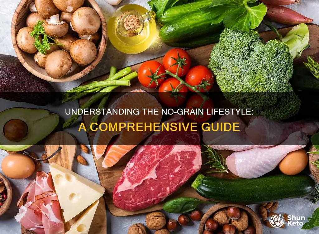 what does no grain diet mean