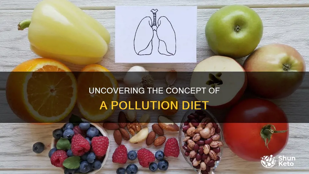 what does pollution diet mean