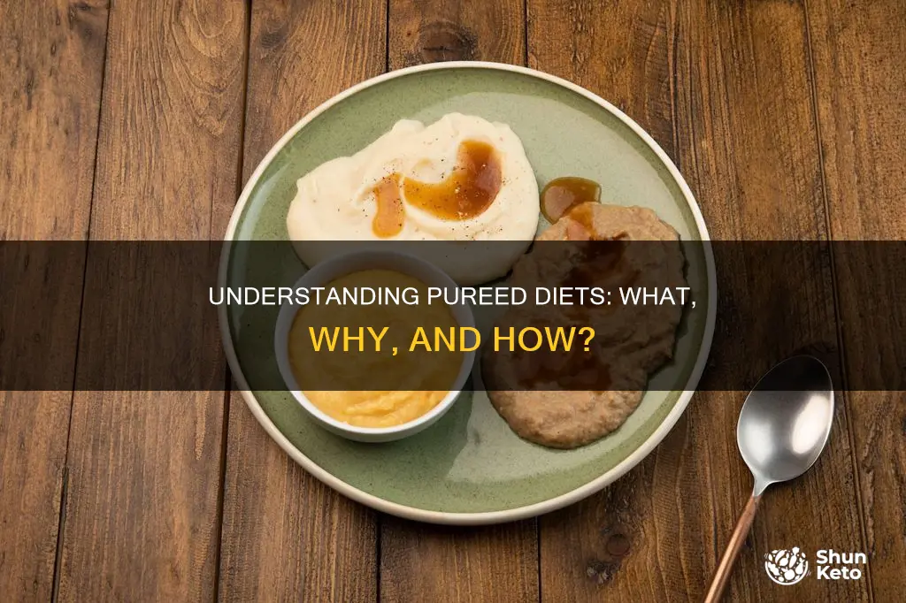 what does pureed diet mean