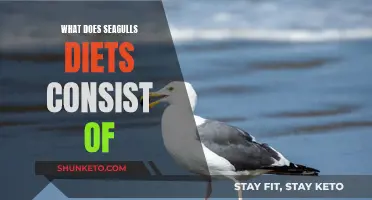 Seagulls' Dietary Habits: An Exploration of Their Food Preferences
