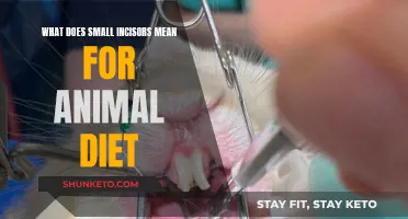 Small Incisors: Animal Diet and Dental Health