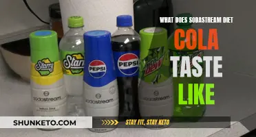 SodaStream Diet Cola: A Tasty, Healthy Alternative?