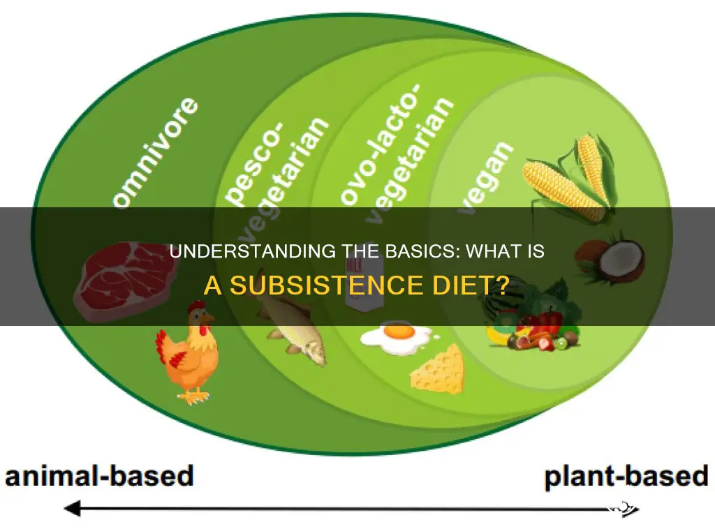 what does subsistence diet mean